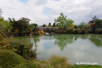 Kuirau Park in Rotorua - New Zealand