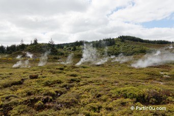 Craters of The Moon in Wairakei - New Zealand