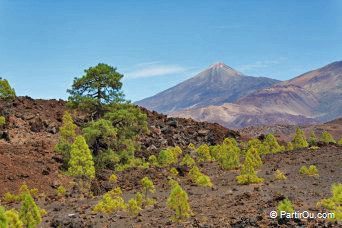 Teide National Park - Tenerife